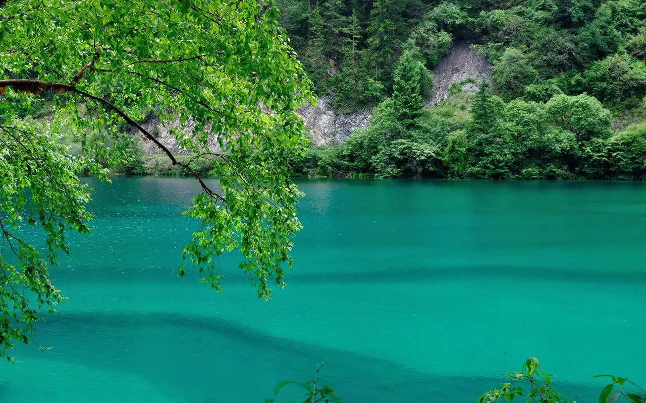 创意科技独特